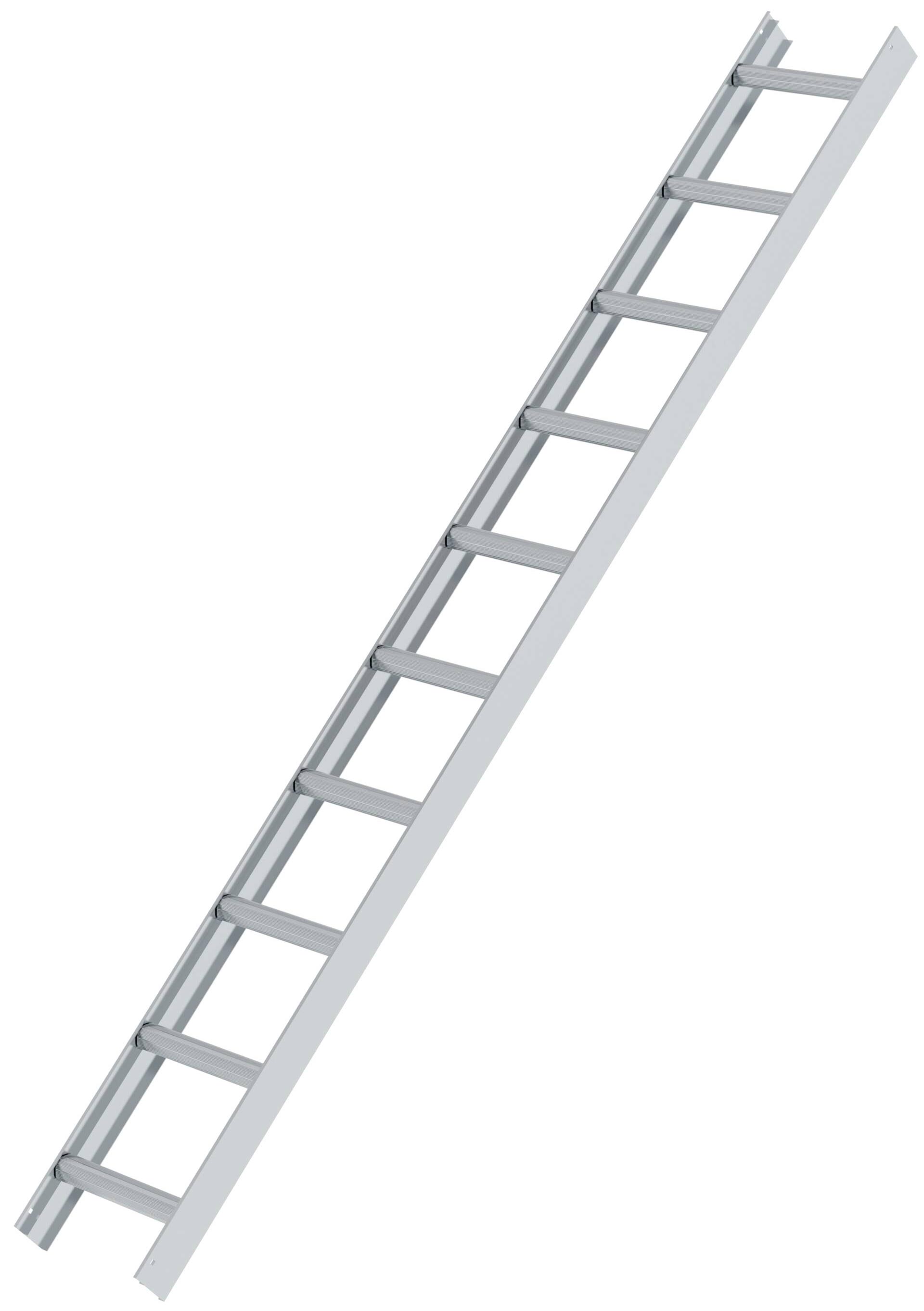Günzburger Dachleiter Alu 10 Sprossen natur