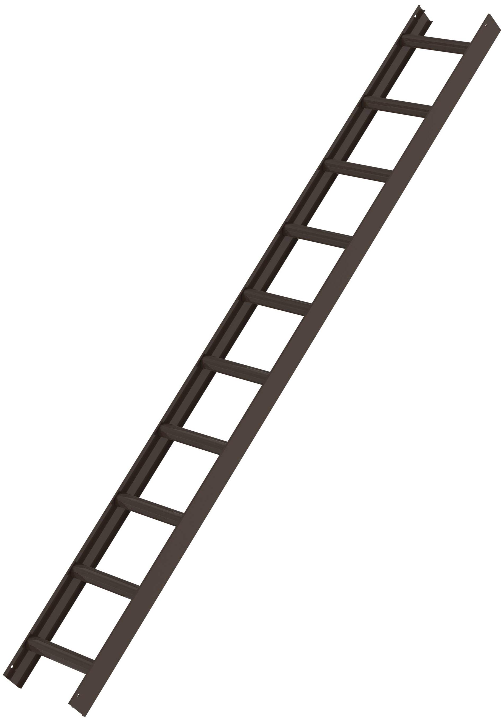 Günzburger Dachleiter Alu 10 Sprossen braun